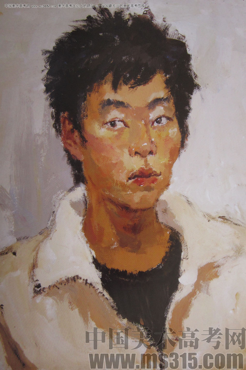 2009年清华大学美术学院色彩高分试卷24（造型）