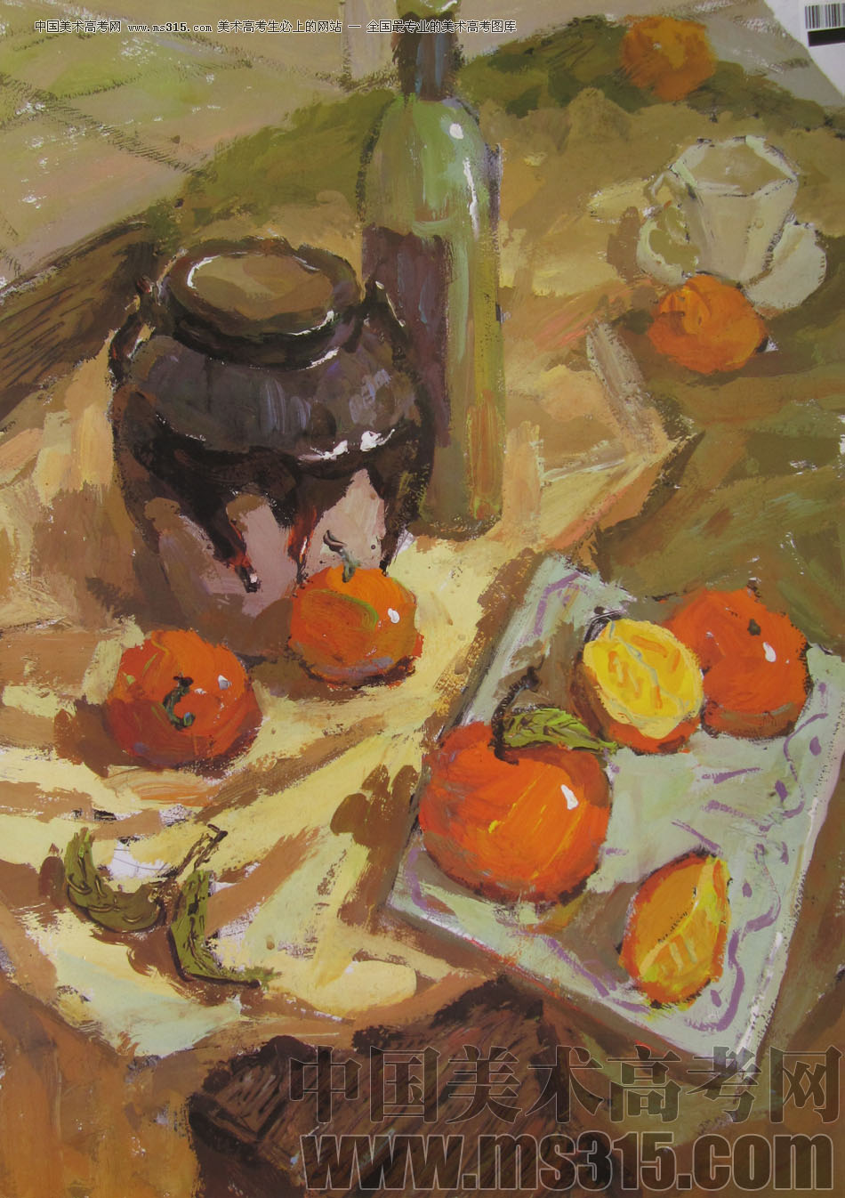 2009年中国美术学院绘画类色彩优秀试卷36