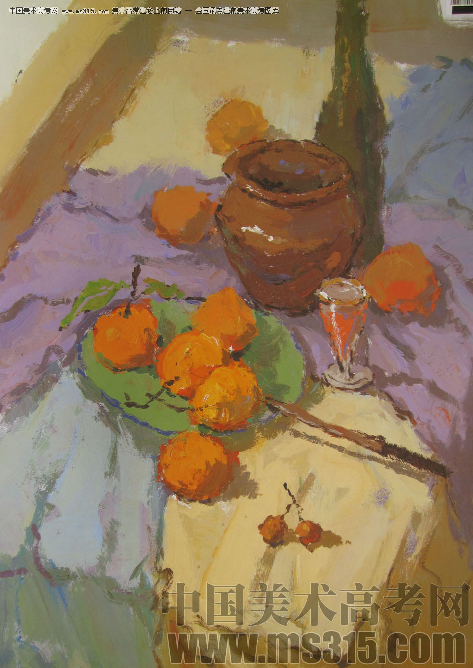 2009年中国美术学院绘画类色彩优秀试卷8