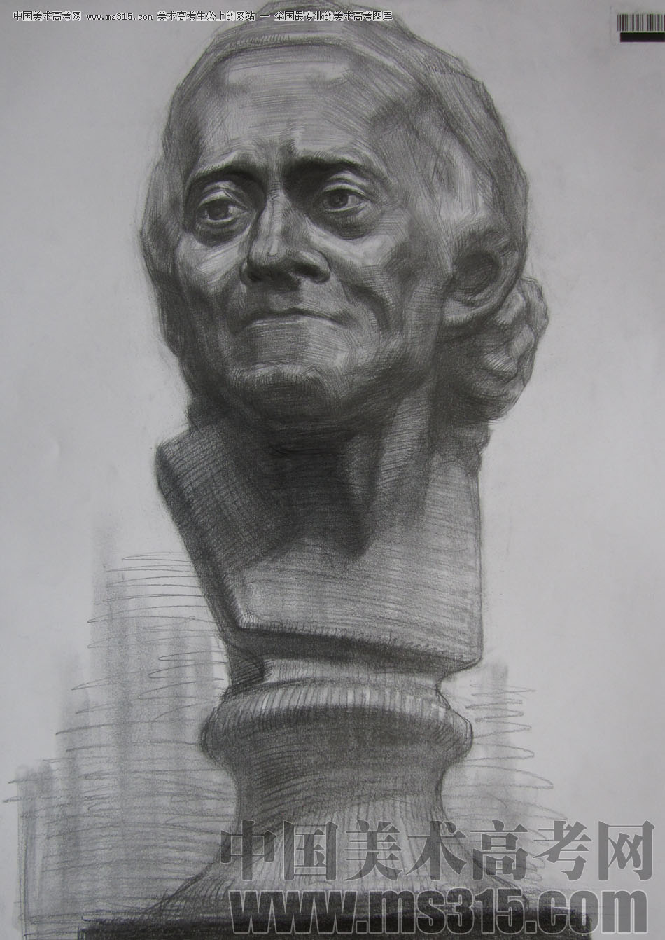 2009年中国美术学院绘画类素描优秀试卷59