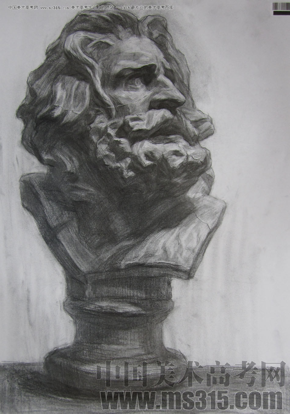 2009年中国美术学院绘画类素描优秀试卷61