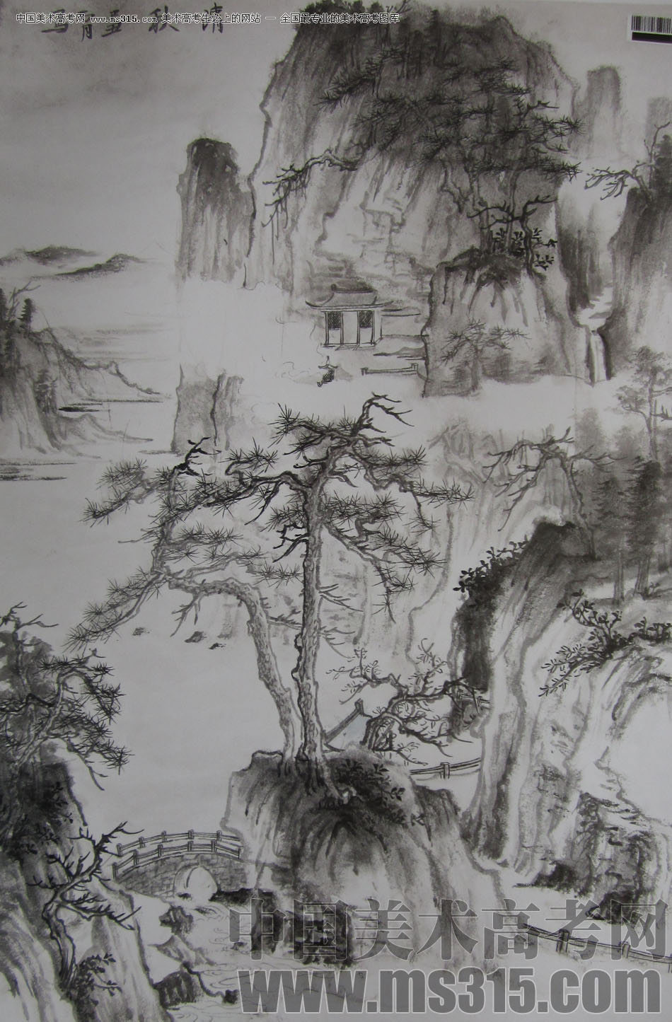 2009年中国美术学院中国画优秀试卷10（山水）