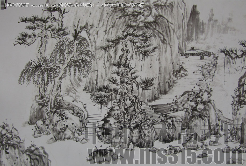 2009年中国美术学院中国画优秀试卷14（山水）