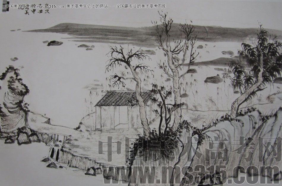 2009年中国美术学院中国画优秀试卷16（山水）