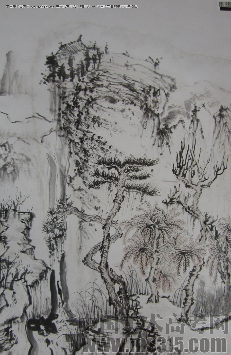 2009年中国美术学院中国画优秀试卷18（山水）