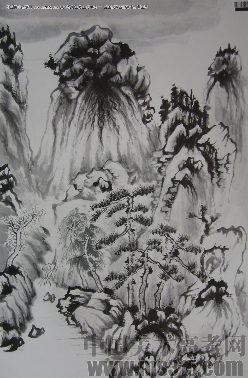 2009年中国美术学院中国画优秀试卷19（山水）