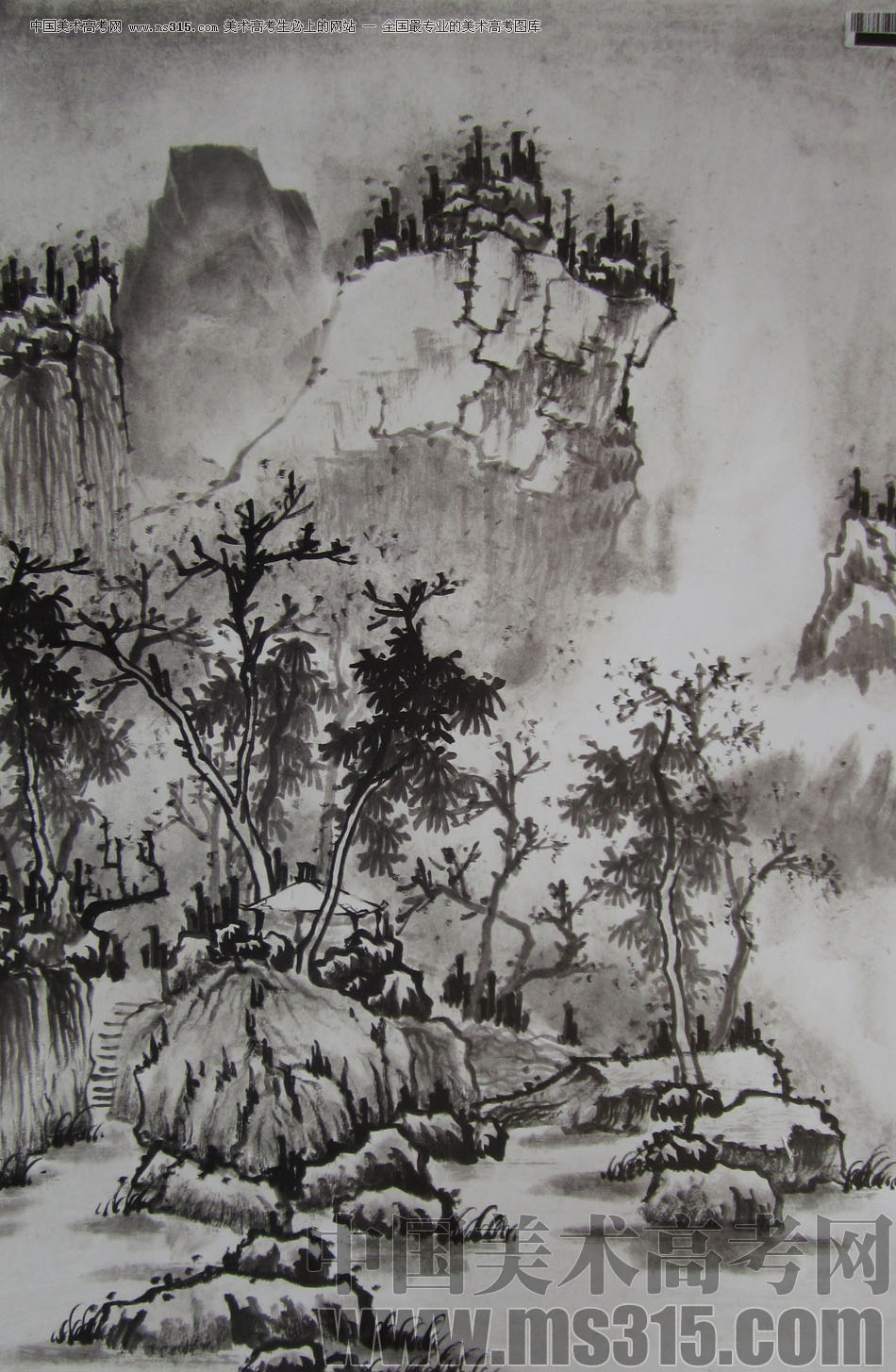 2009年中国美术学院中国画优秀试卷20（山水）