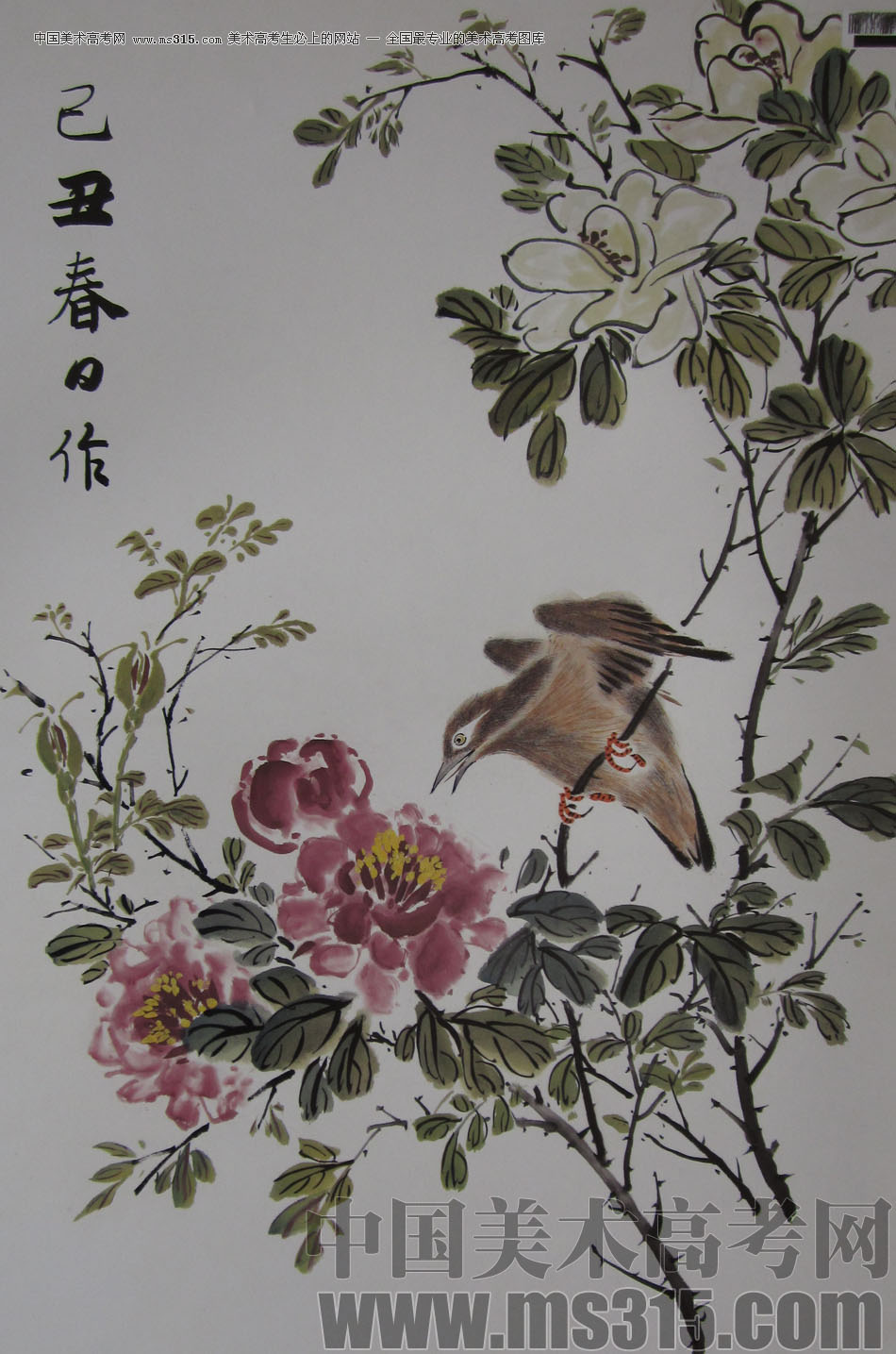 2009年中国美术学院中国画优秀试卷31（花鸟）