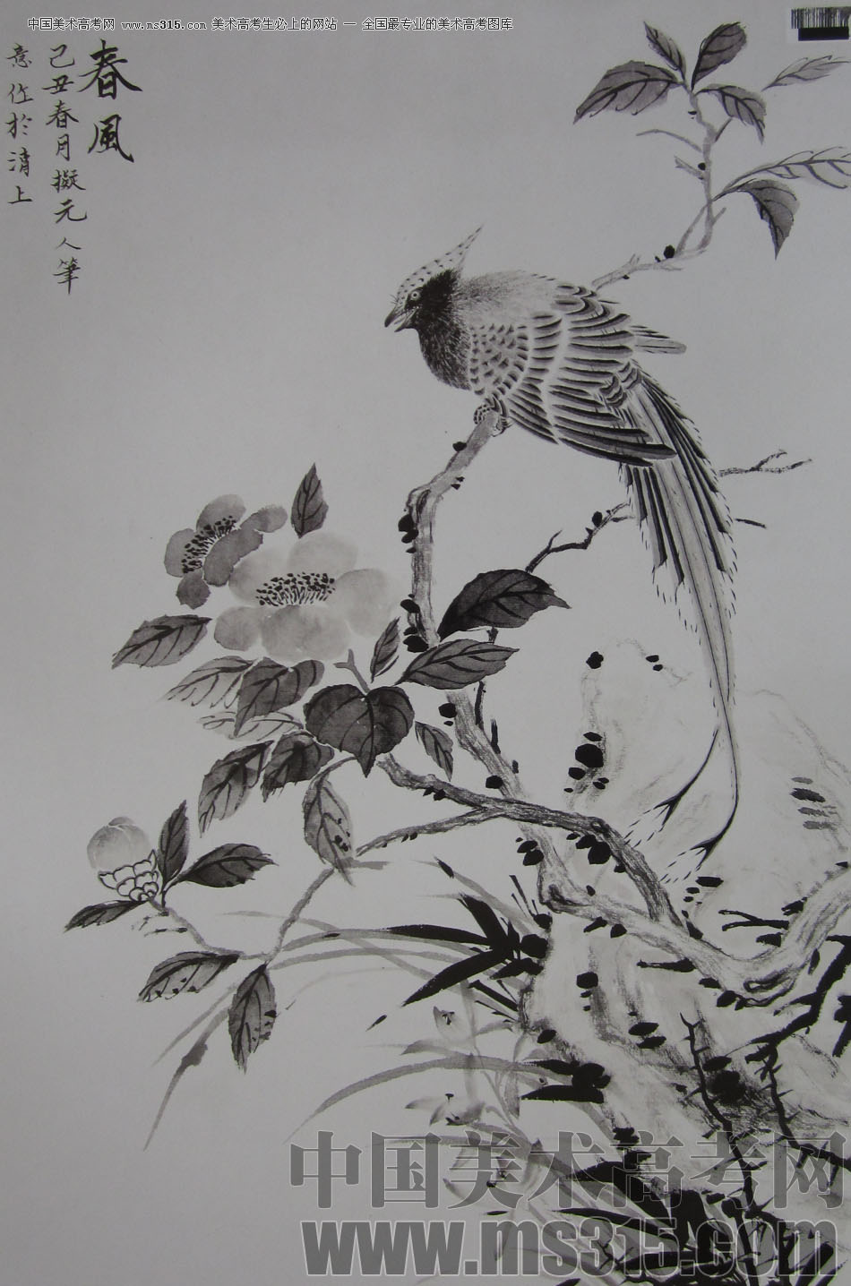 2009年中国美术学院中国画优秀试卷30（花鸟）