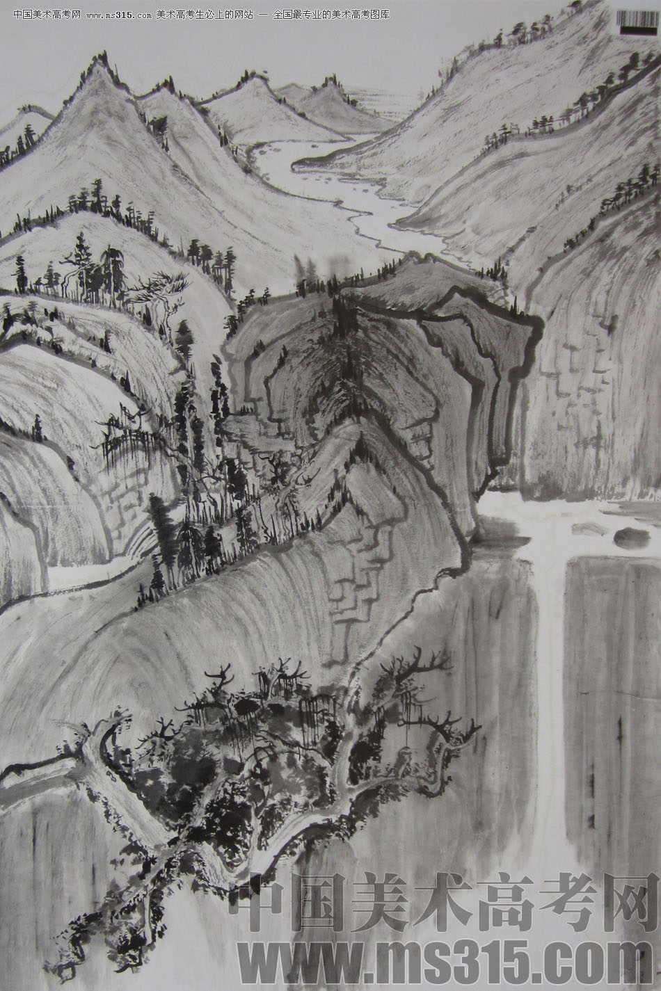 2009年中国美术学院中国画优秀试卷21（山水）