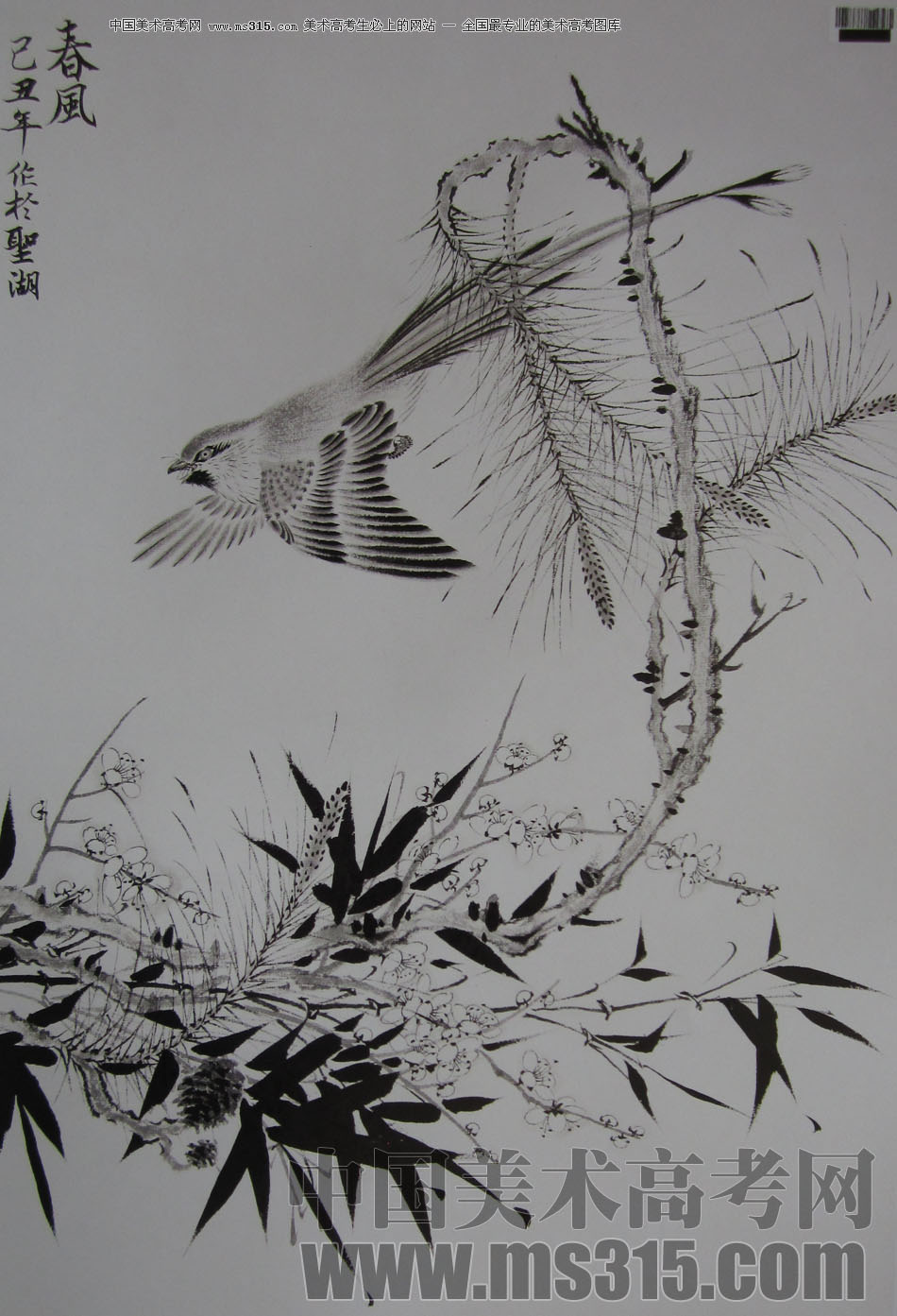 2009年中国美术学院中国画优秀试卷34（花鸟）