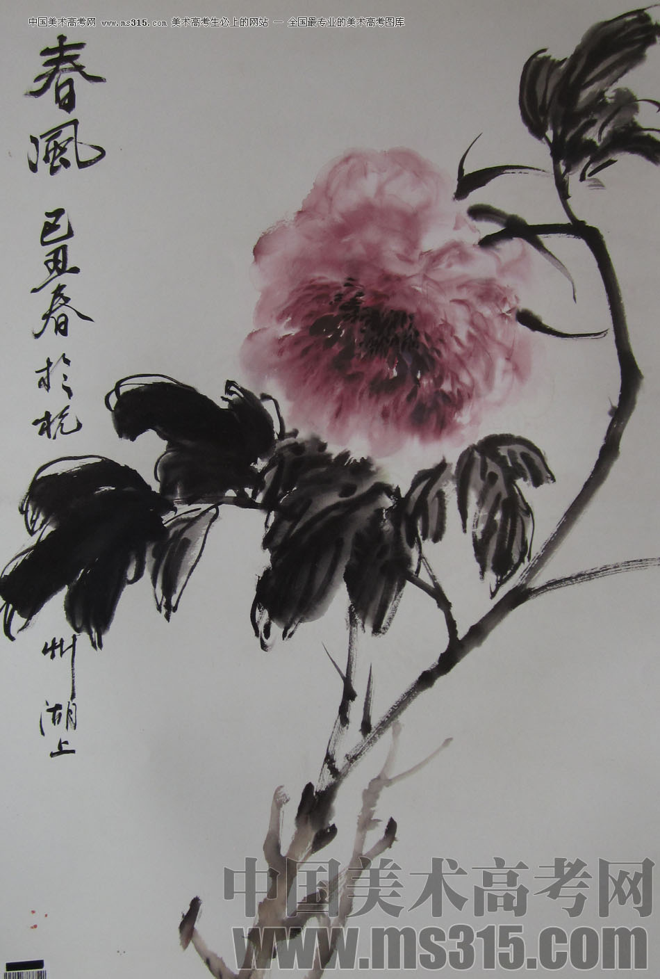 2009年中国美术学院中国画优秀试卷35（花鸟）