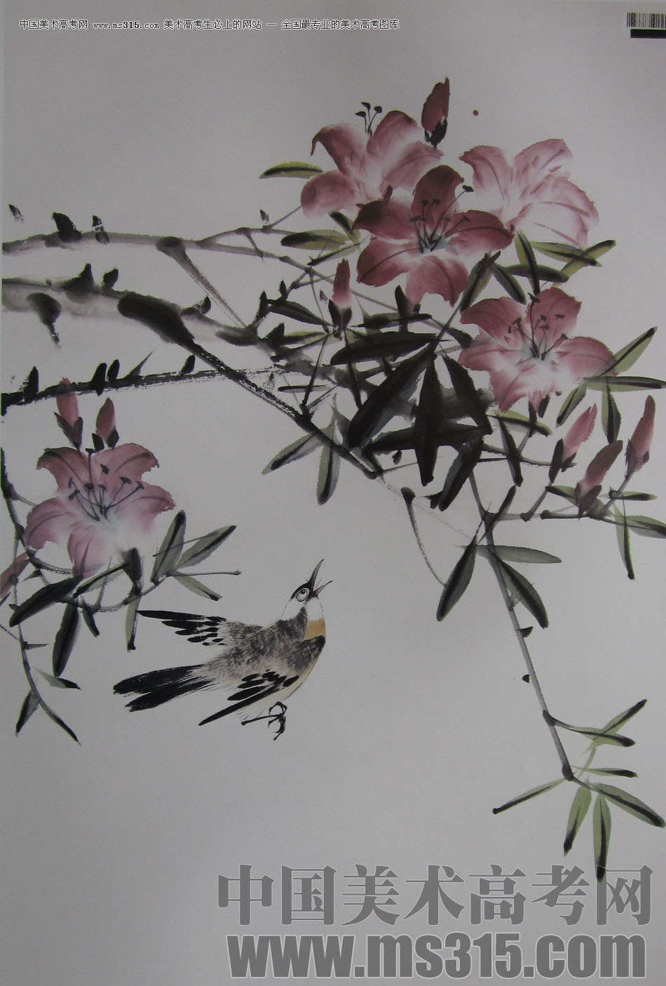 2009年中国美术学院中国画优秀试卷36（花鸟）
