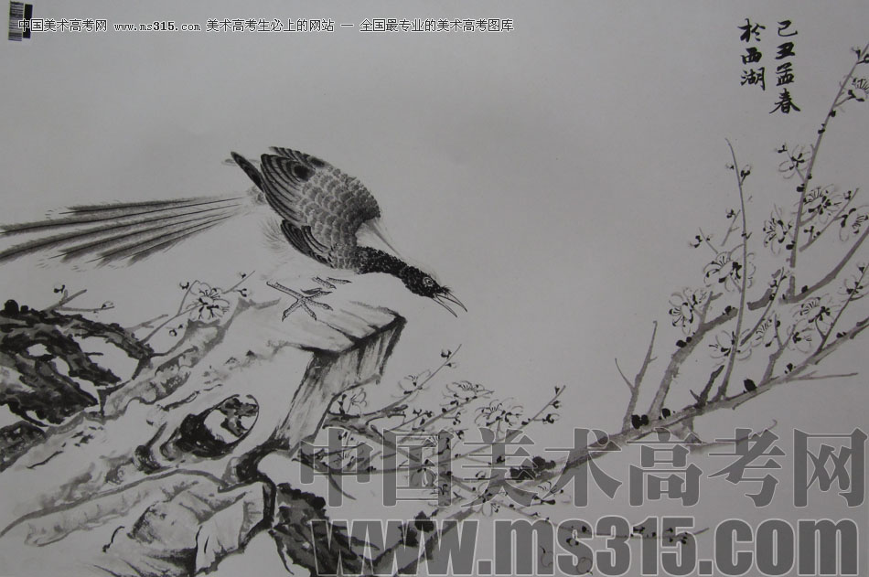 2009年中国美术学院中国画优秀试卷37（花鸟）