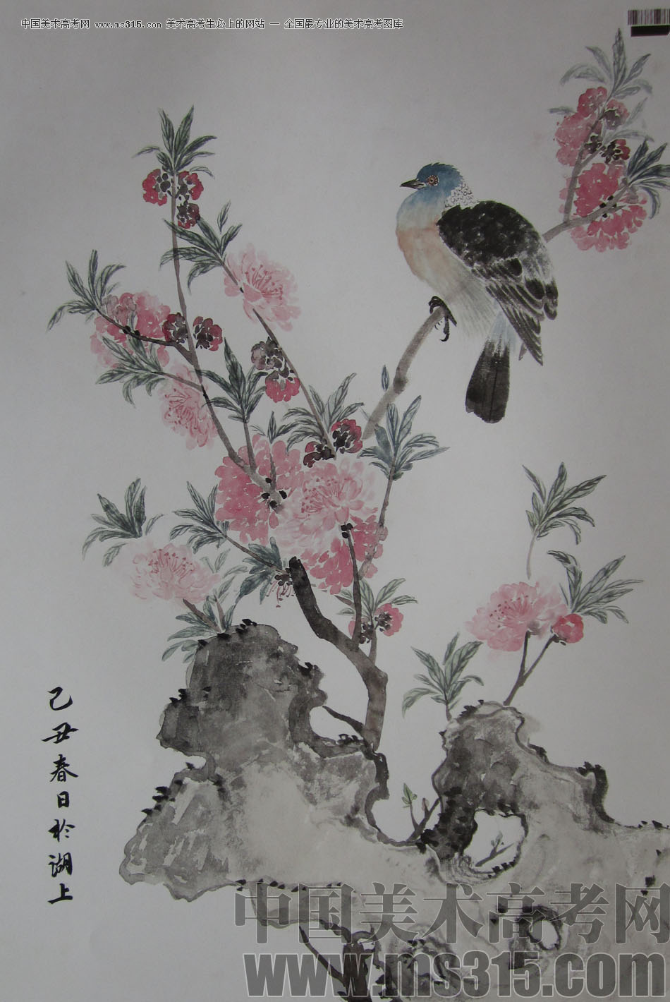 2009年中国美术学院中国画优秀试卷27（花鸟）