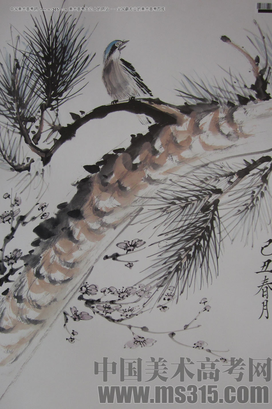 2009年中国美术学院中国画优秀试卷29（花鸟）