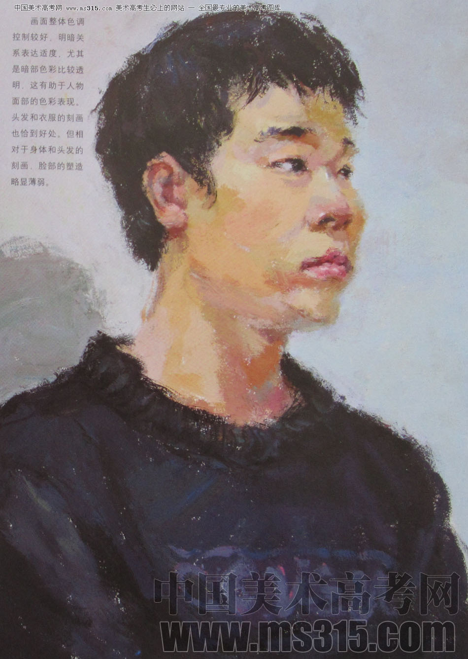 2010年清华大学美术学院色彩高分试卷26（造型）