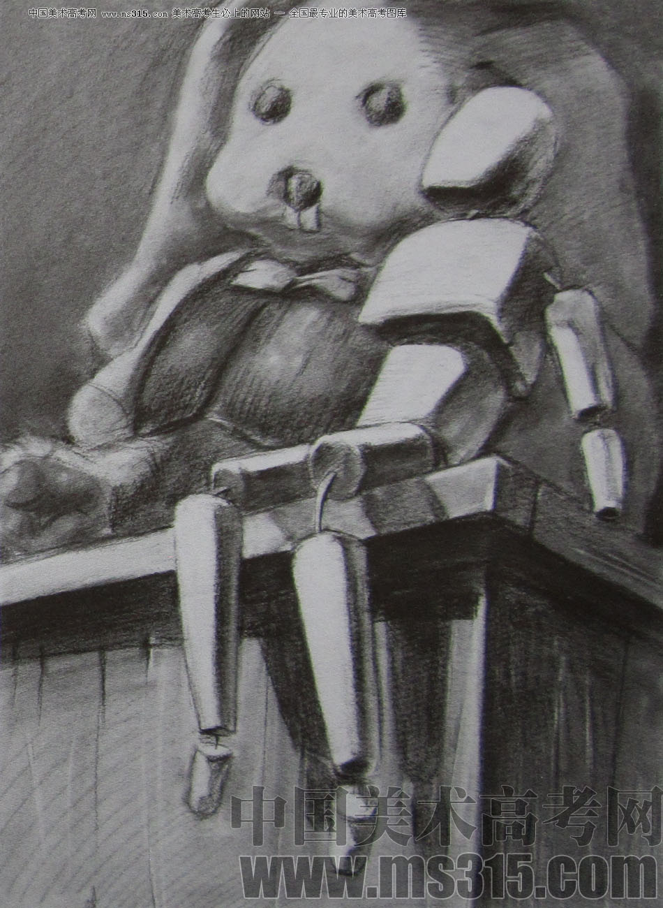 2010年江南大学素描优秀试卷15
