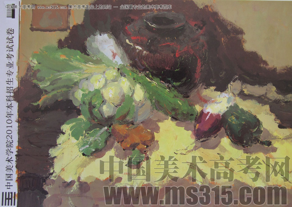 2010年中国美术学院造型、图媒类色彩优秀试卷34