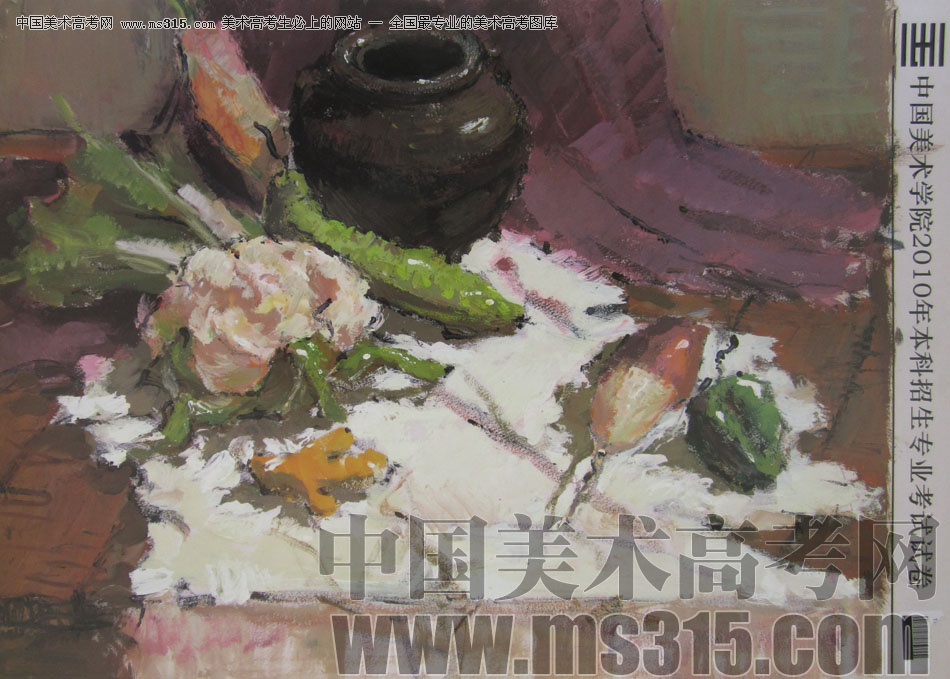 2010年中国美术学院造型、图媒类色彩优秀试卷36