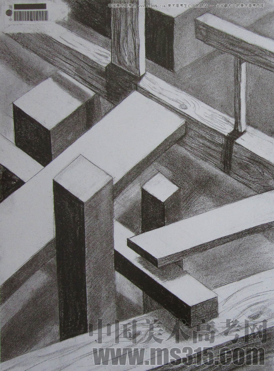 中央美术学院2010年艺术设计优秀试卷3（素描）