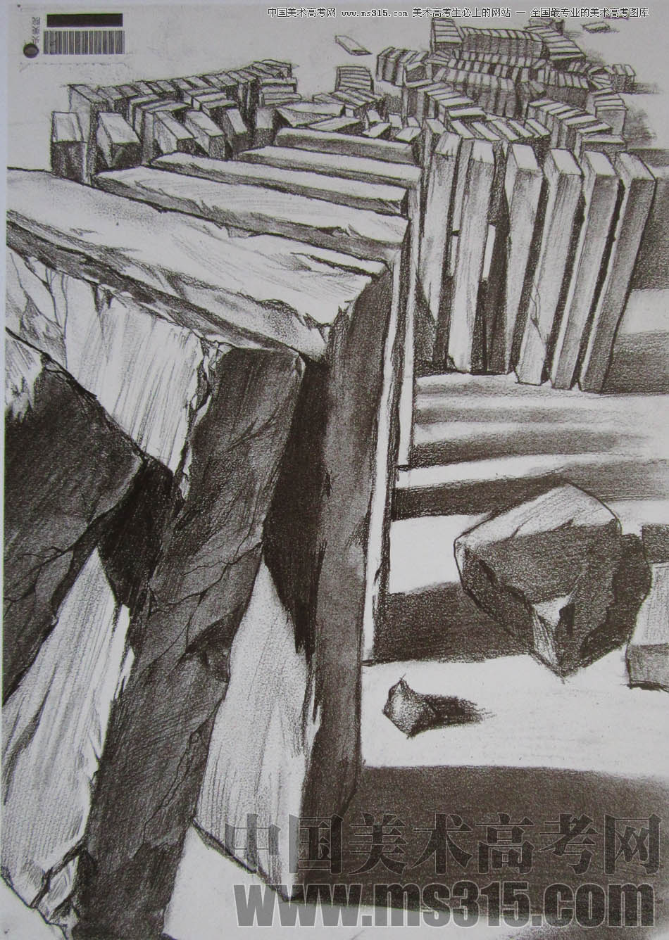 中央美术学院2010年艺术设计优秀试卷7（素描）