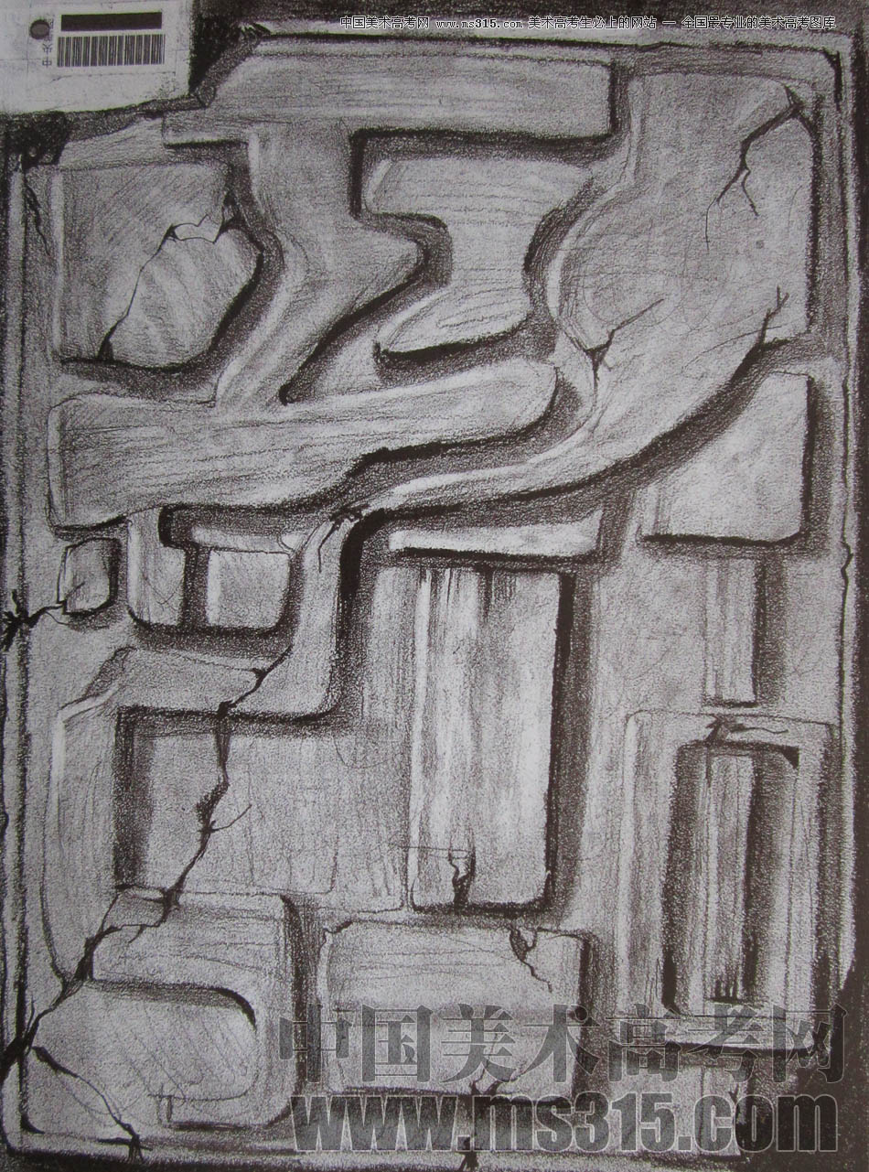 中央美术学院2010年艺术设计优秀试卷16（素描）