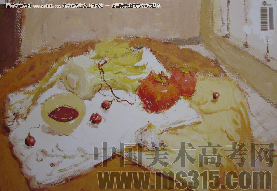 中央美术学院2010年艺术设计优秀试卷28（色彩）