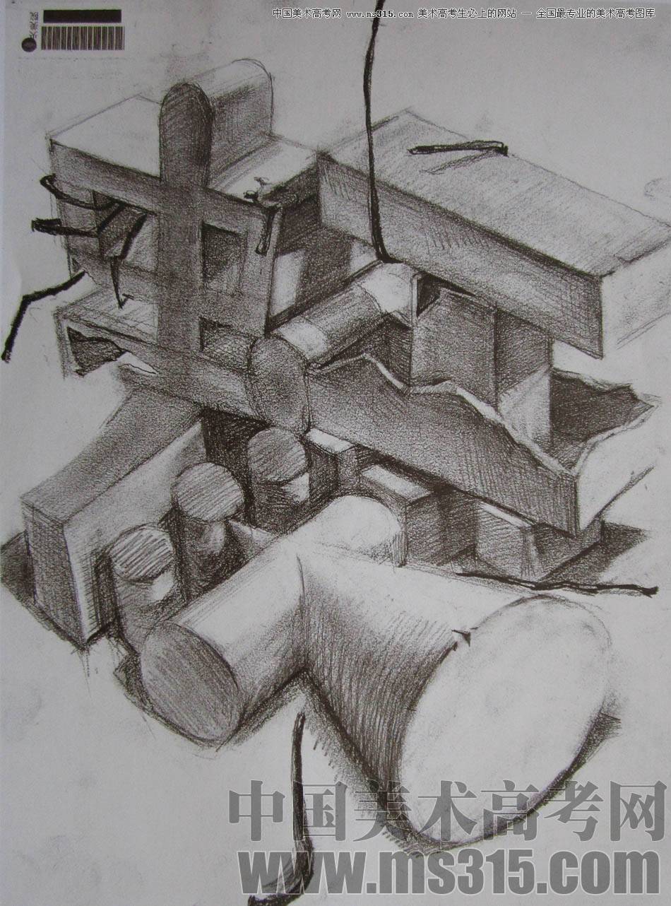中央美术学院2010年艺术设计优秀试卷15（素描）