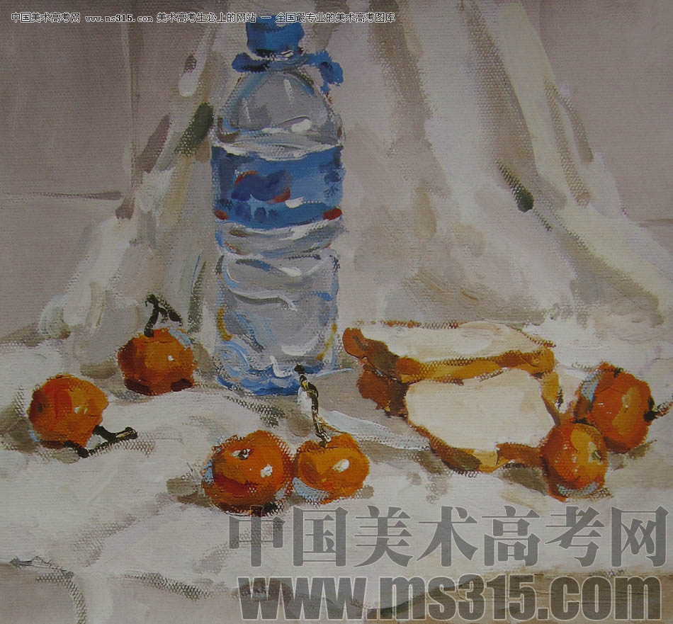 2010-2011年天津美术学院色彩优秀试卷50（绘画、雕塑）