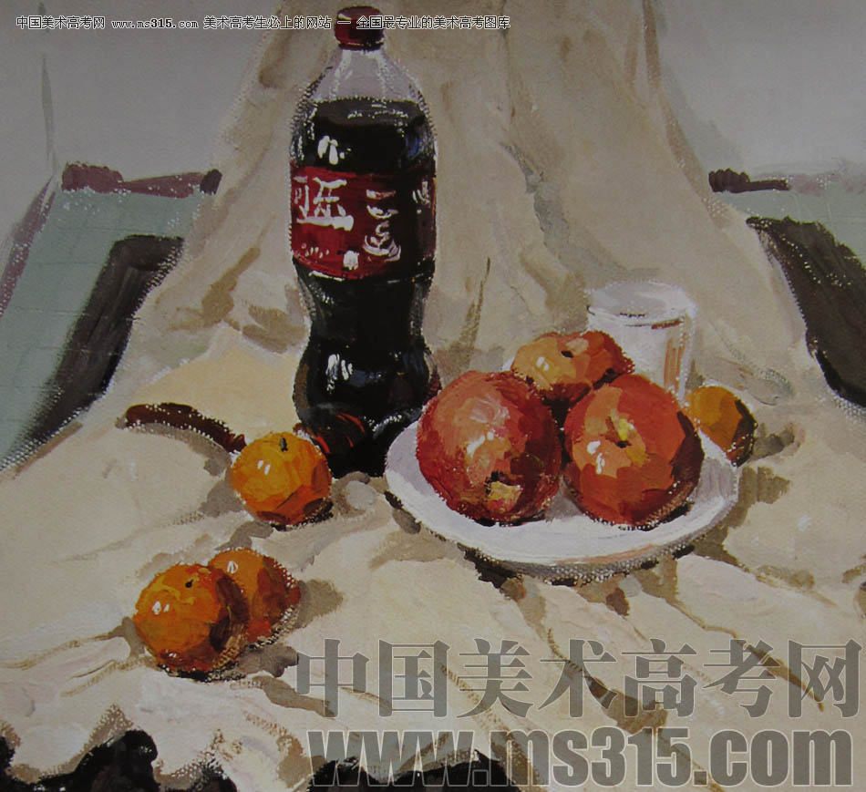 2010-2011年天津美术学院色彩优秀试卷53（绘画、雕塑）