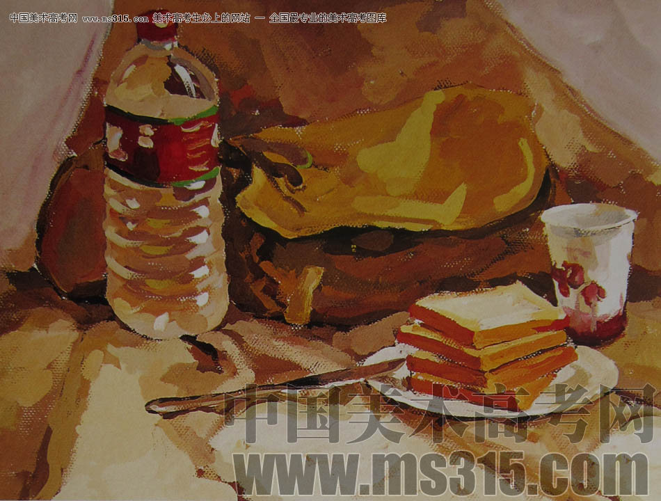 2010-2011年天津美术学院色彩优秀试卷118（艺术设计、工业设计、动画）