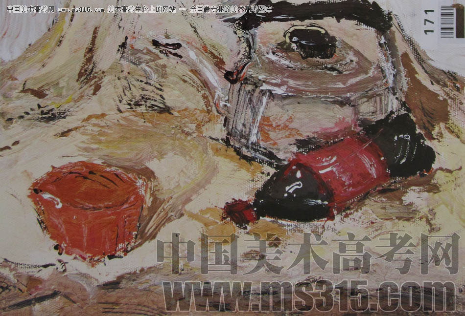 湖北美术学院2011年色彩优秀试卷15