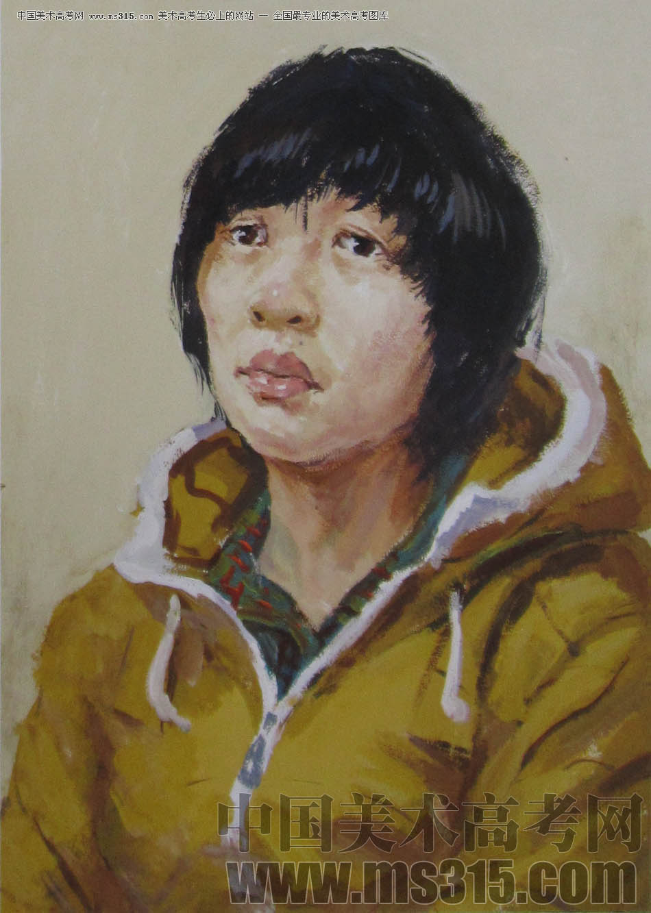 2011年清华大学美术学院色彩高分试卷65（造型）