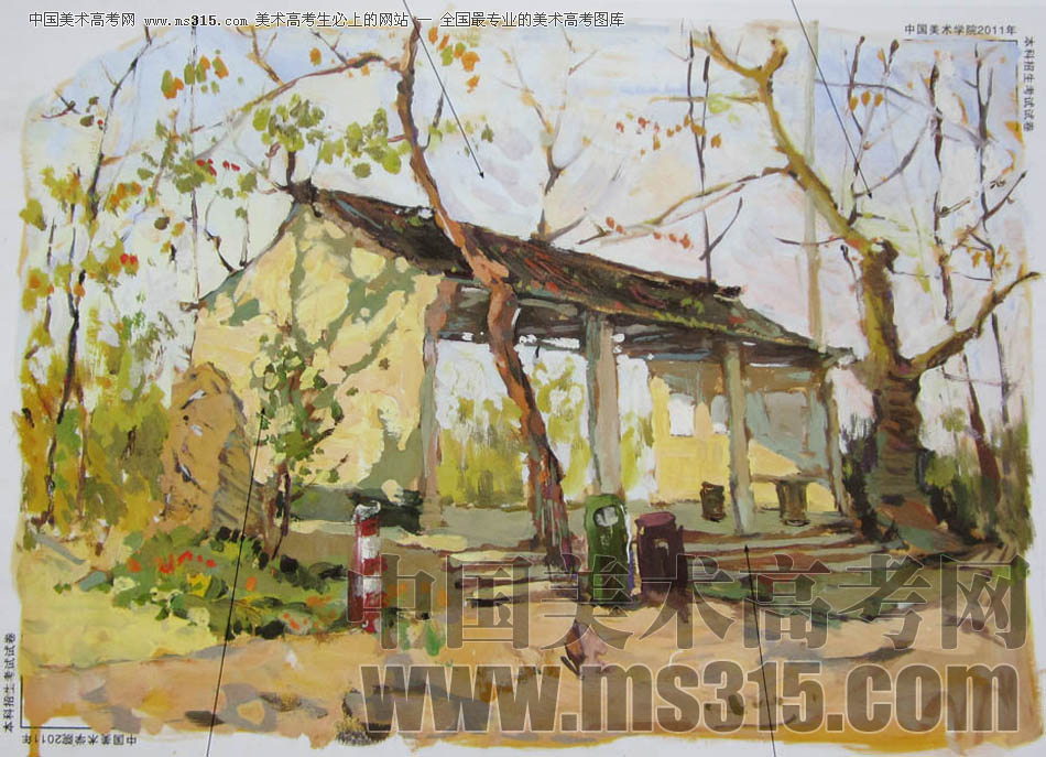 中国美术学院2011年设计、建筑类色彩优秀试卷5