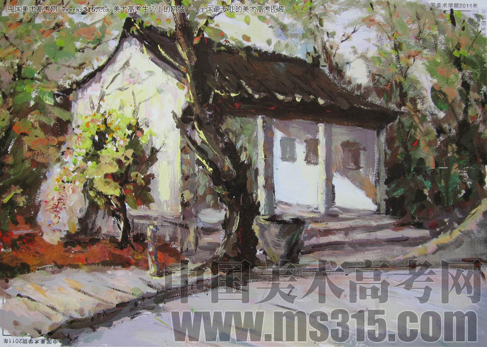 中国美术学院2011年设计、建筑类色彩优秀试卷8