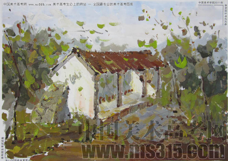 中国美术学院2011年设计、建筑类色彩优秀试卷10