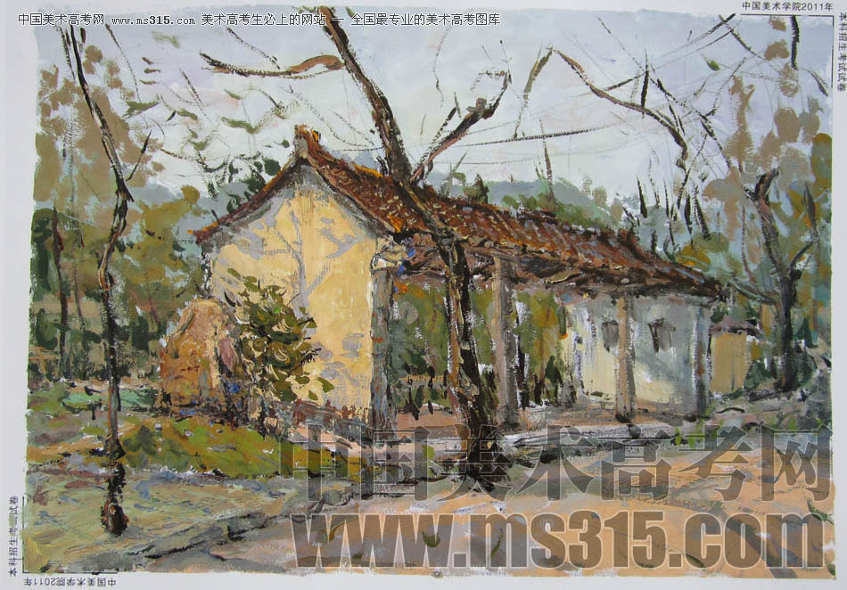 中国美术学院2011年设计、建筑类色彩优秀试卷11