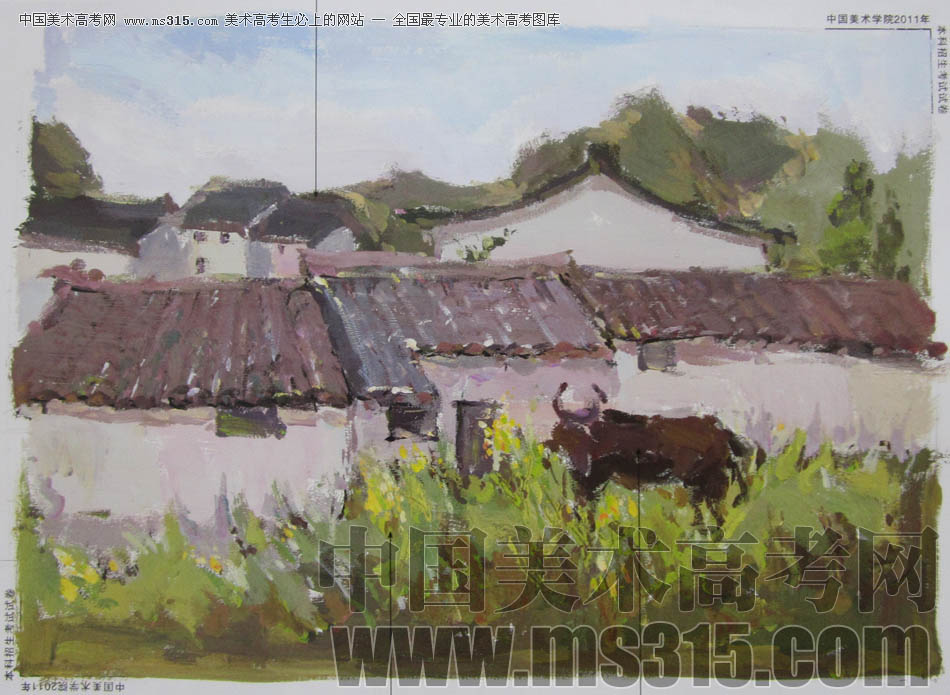中国美术学院2011年造型、图媒类色彩优秀试卷10