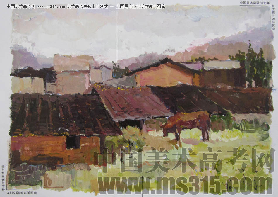 中国美术学院2011年造型、图媒类色彩优秀试卷12