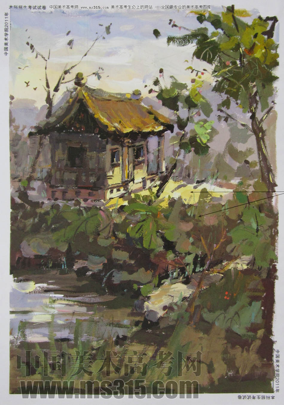 中国美术学院2011年造型、图媒类色彩优秀试卷13