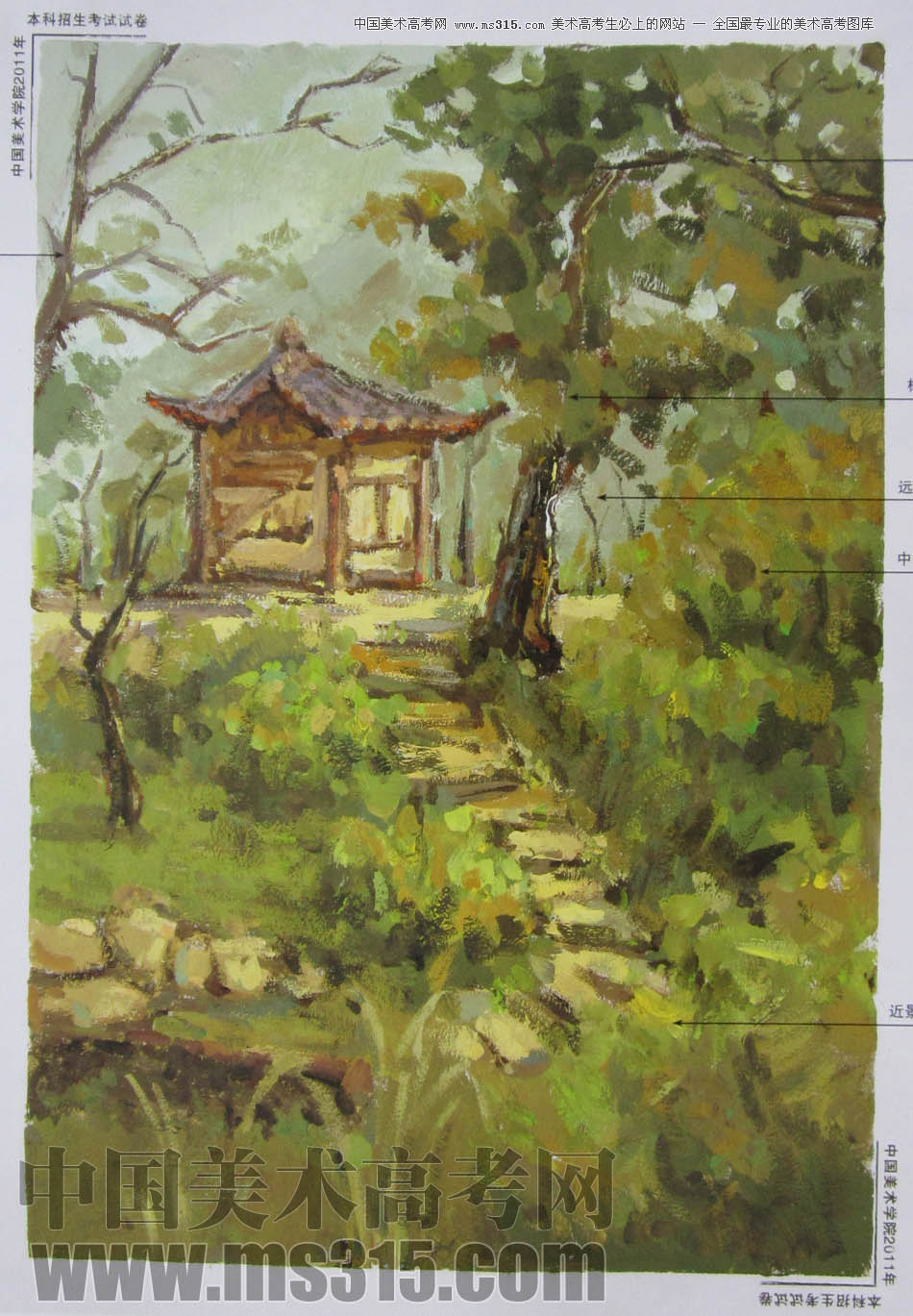 中国美术学院2011年造型、图媒类色彩优秀试卷16
