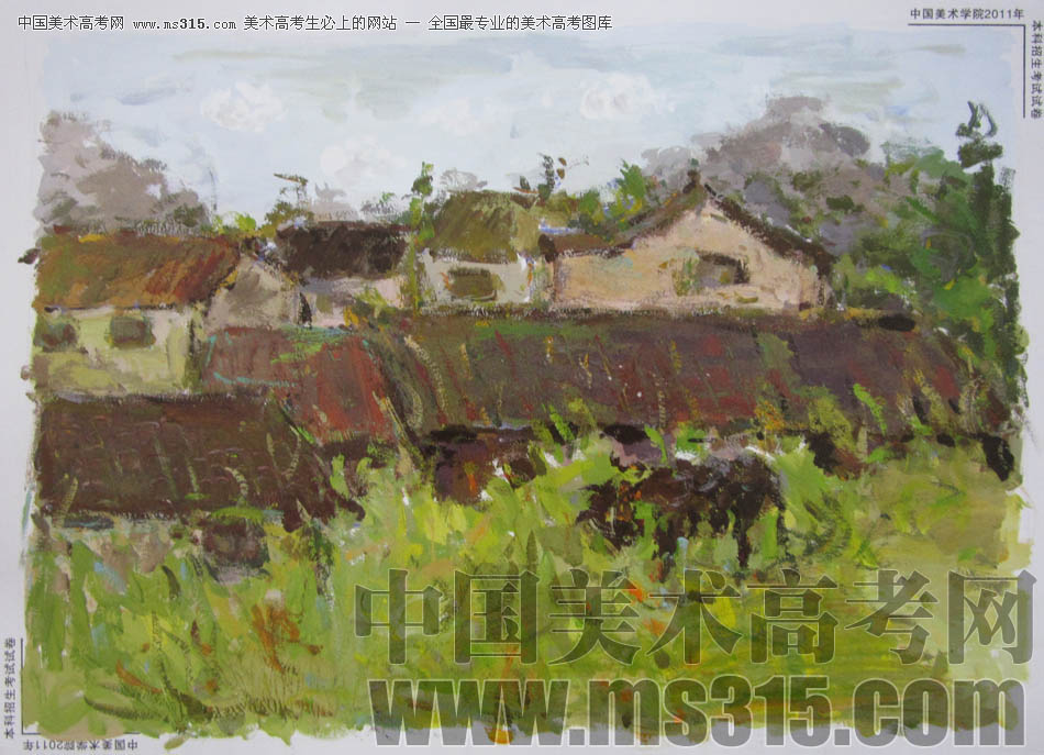 中国美术学院2011年造型、图媒类色彩优秀试卷47