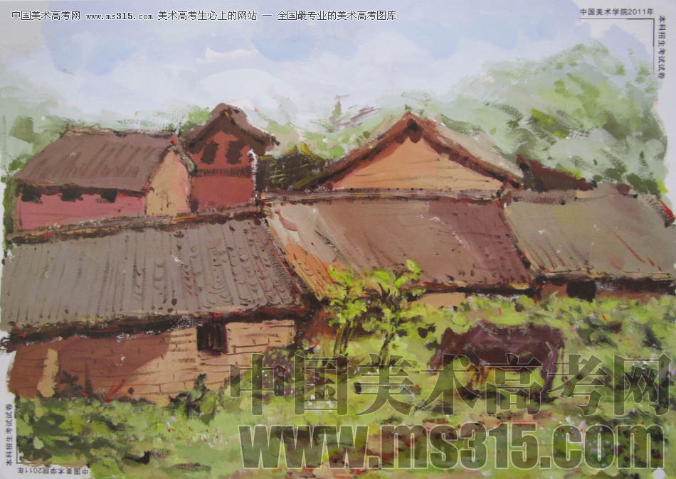 中国美术学院2011年造型、图媒类色彩优秀试卷49