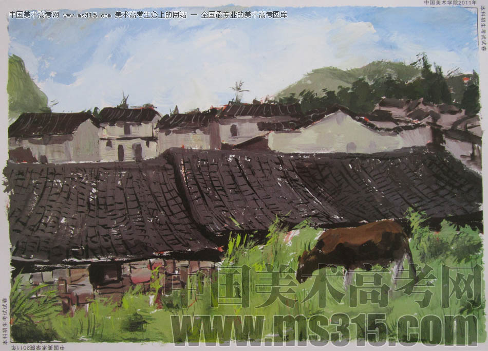 中国美术学院2011年造型、图媒类色彩优秀试卷50