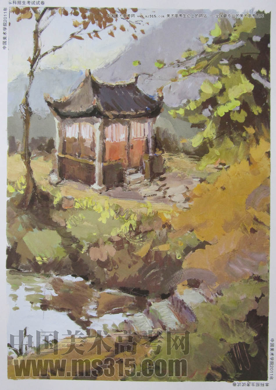 中国美术学院2011年造型、图媒类色彩优秀试卷53