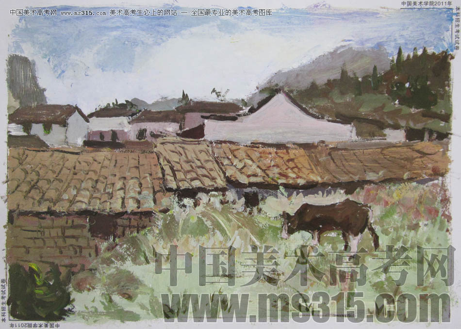 中国美术学院2011年造型、图媒类色彩优秀试卷55