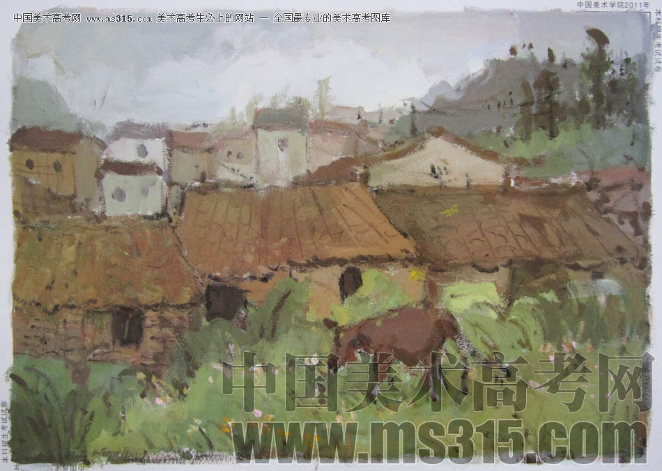 中国美术学院2011年造型、图媒类色彩优秀试卷56