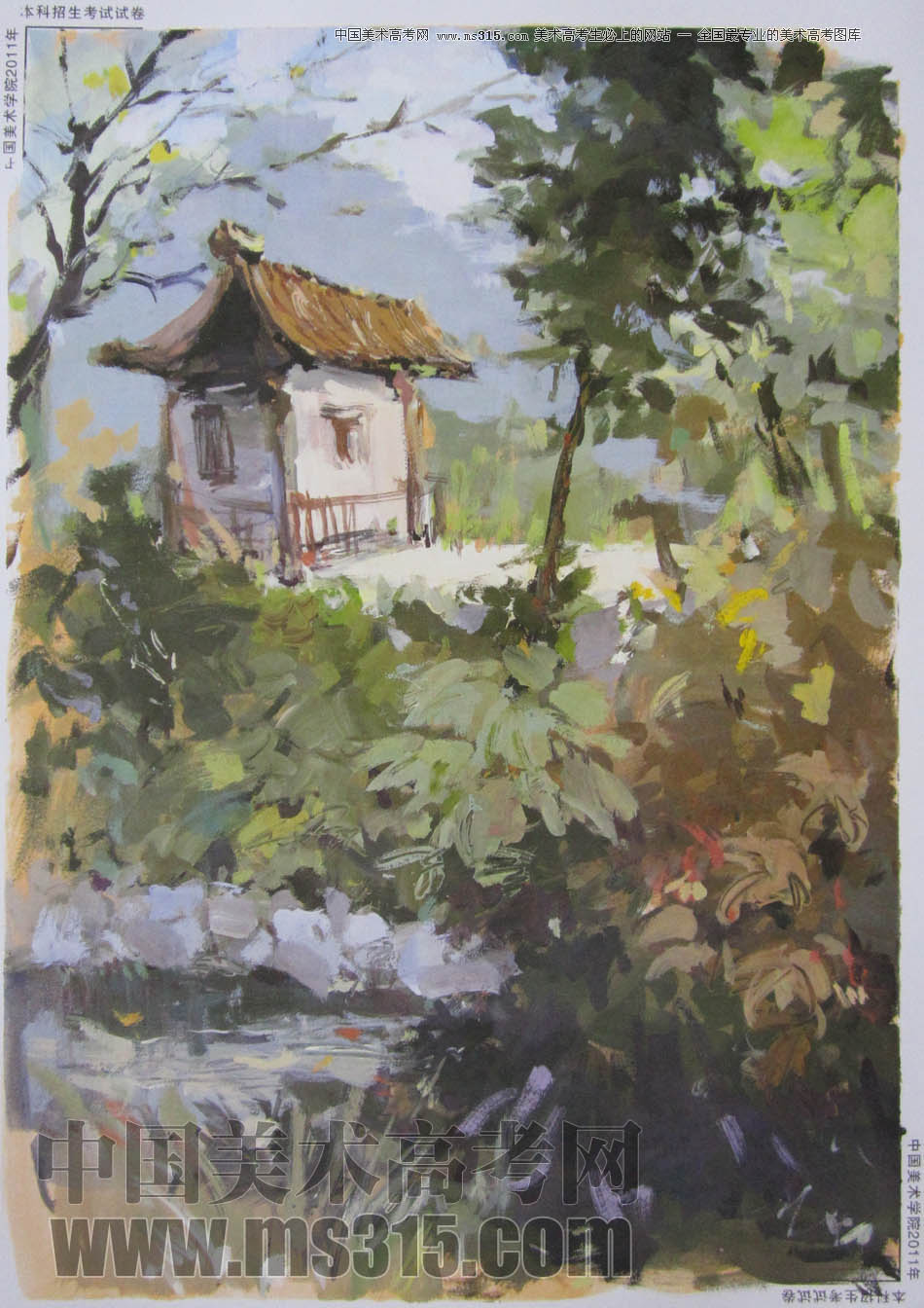 中国美术学院2011年造型、图媒类色彩优秀试卷59