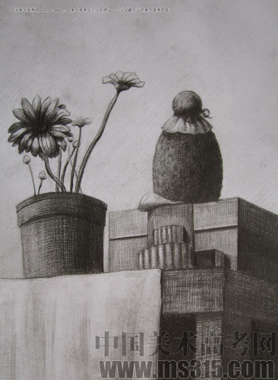 2012年清华大学美术学院素描高分试卷74（设计）